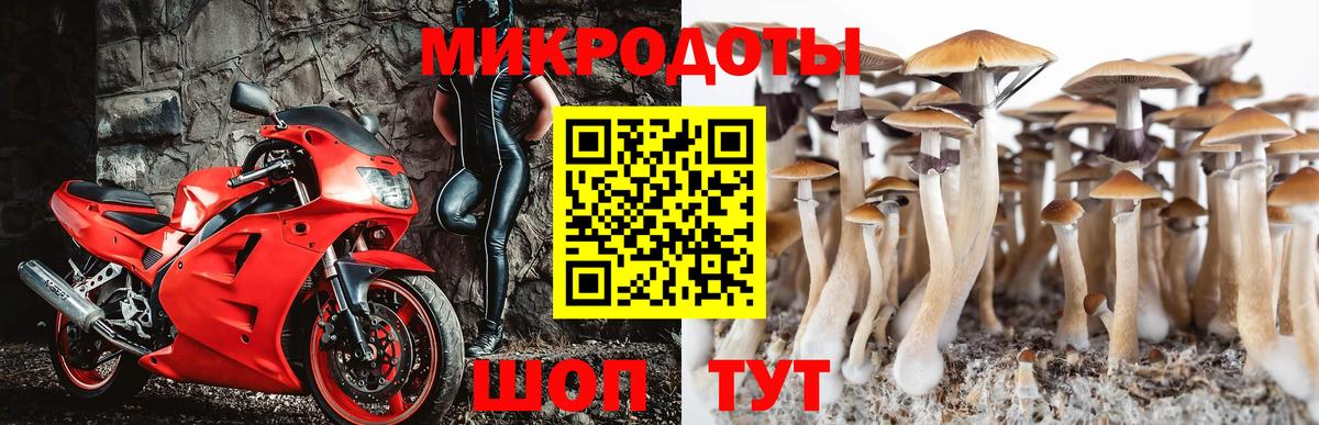 Псилоцибиновые грибы GOLDEN TEACHER  Вход с VPN  Галлюциногенные грибы Magic Shrooms  Ессентуки 