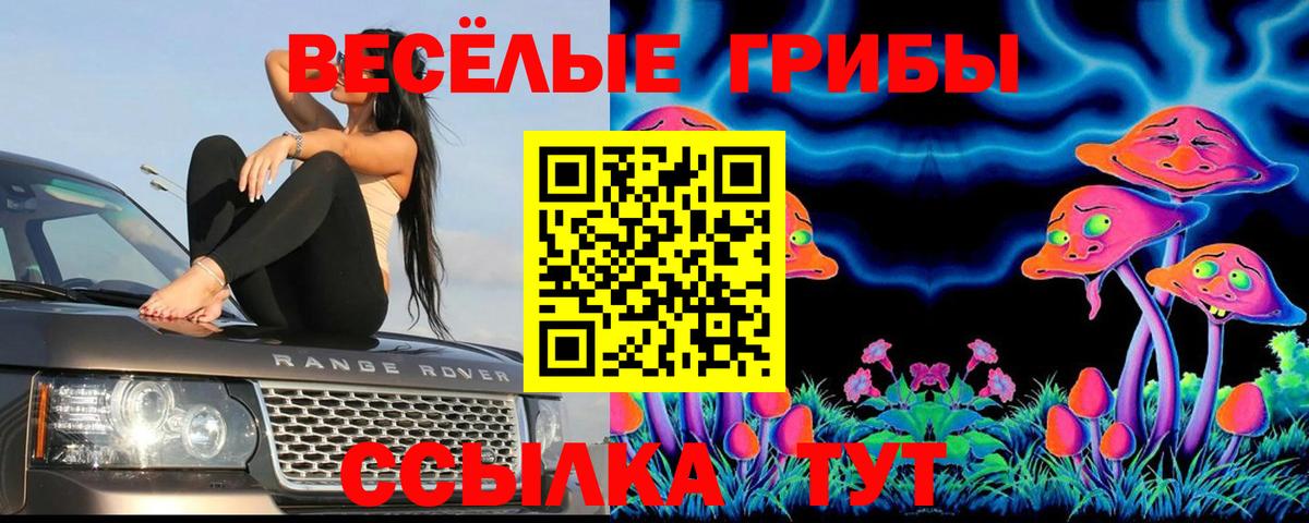 Галлюциногенные грибы MAGIC MUSHROOMS Ессентуки